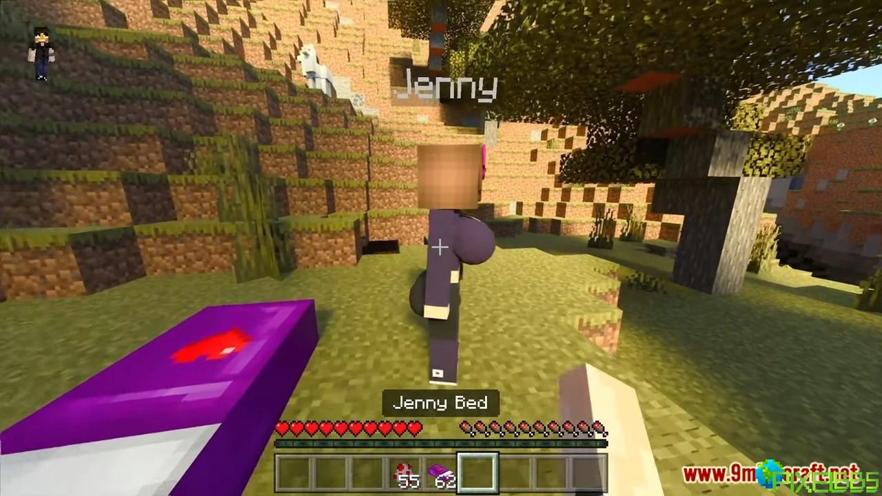 2-Jeeny-Addon.jpg