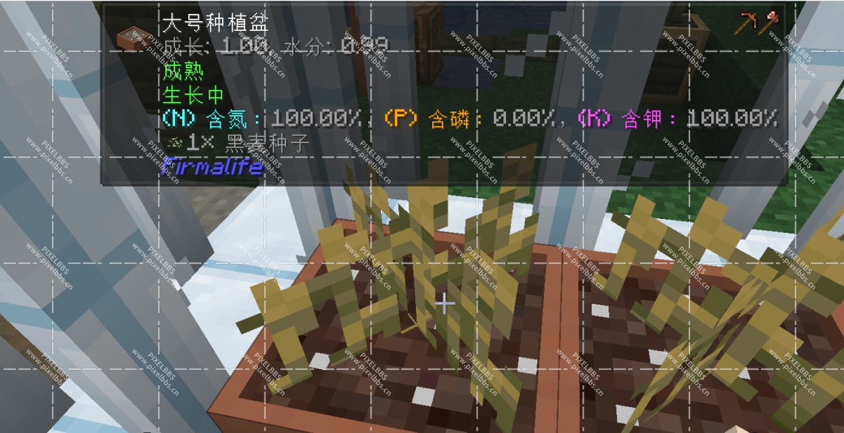 QQ浏览器截图20240608025728.png