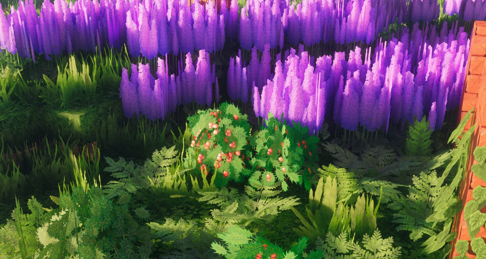 image.jpg